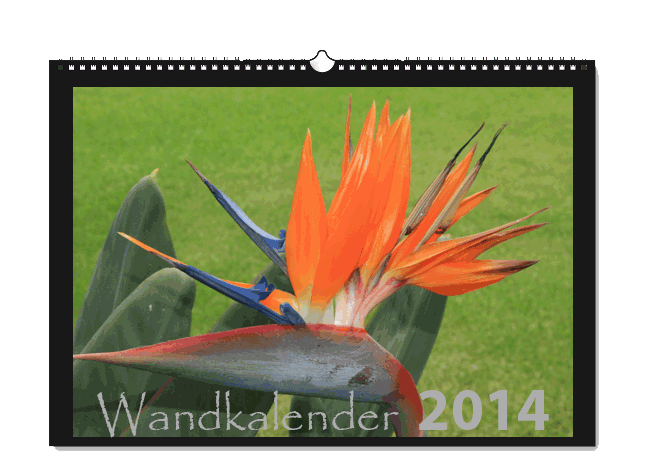 kalender-a3-quer-3.gif