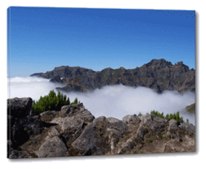 Leinwand Fotodruck ohne Keilrahmen